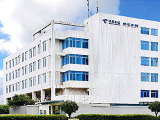 成都服務(wù)器托管/電信棕樹機(jī)房